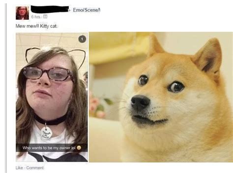 The Benefits of Cringe Doge