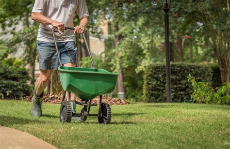 The Benefits of Grass Fertilizer