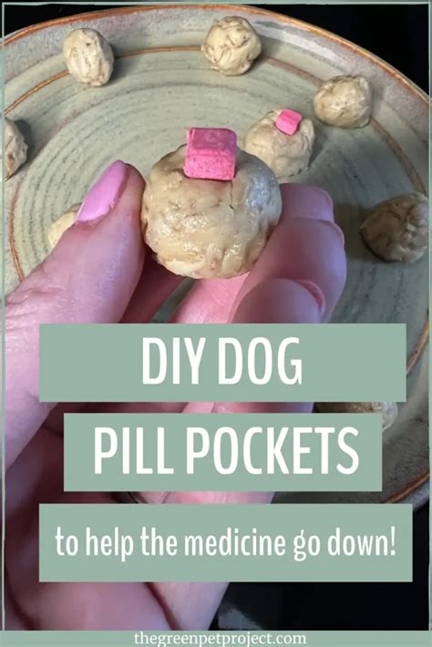 The Benefits of Homemade Pill Pockets