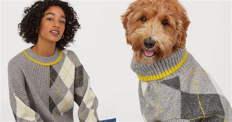 The Benefits of Matching Dog and Owner Sweaters