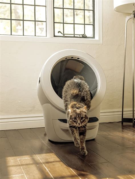 The Benefits of Owning a Litter Robot