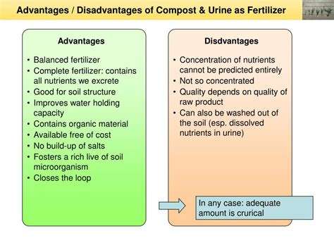 The Benefits of Pee as Fertilizer