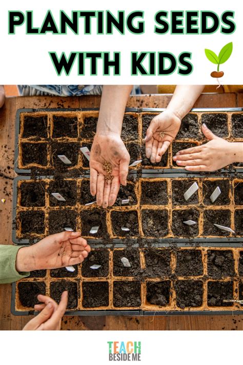 The Benefits of Planting Seeds