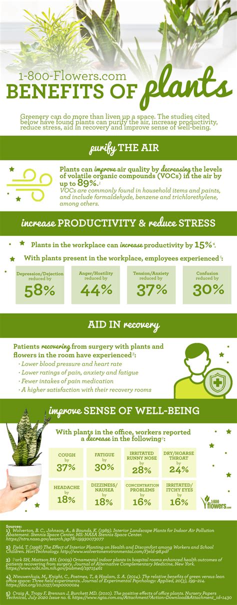 The Benefits of Plants