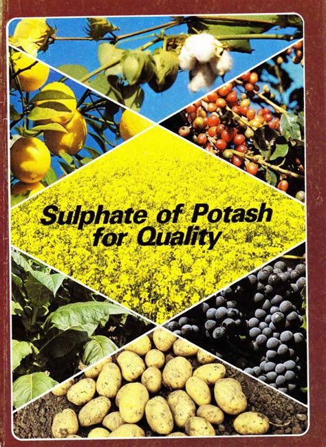 The Benefits of Sulphate of Potash for Your Crops