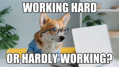 The Benefits of Using Work Dog Memes