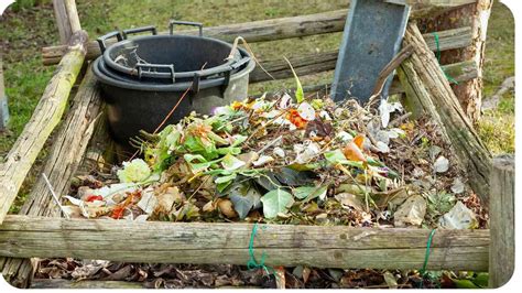 The Benefits of Using a Crusher for Compost