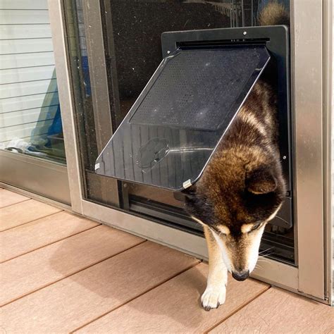 The Benefits of an Automatic Doggie Door: Unleashing Independence and Enhancing Comfort