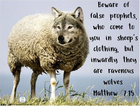 The Berean Study Bible: A Wolf in Sheep's Clothing?