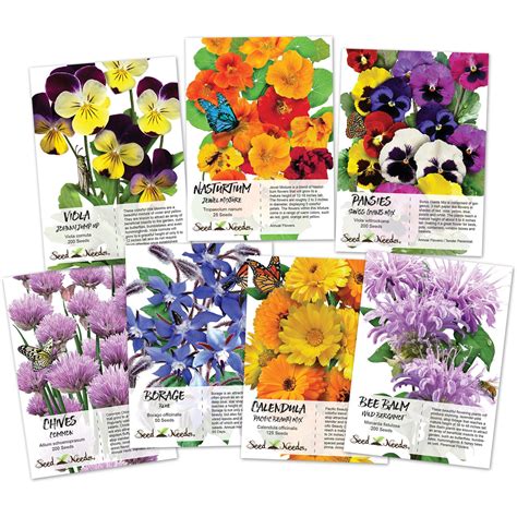 The Best Spring Seeds to Plant