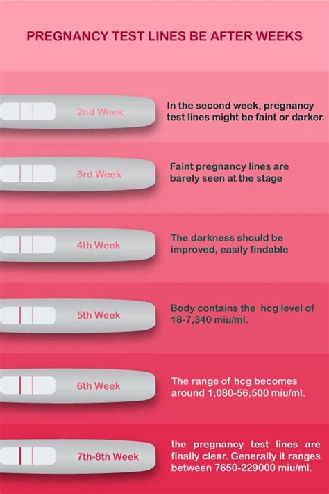 The Best Week to Test for Pregnancy: 2025 VS. 2023