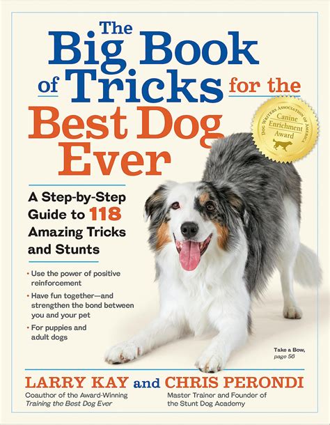 The Big Book of Tricks for the Best Dog Ever A Step-by-Step Guide to 112 Amazing Tricks and Stunts Reader