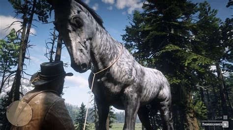 The Biggest Horses in Red Dead Redemption 2