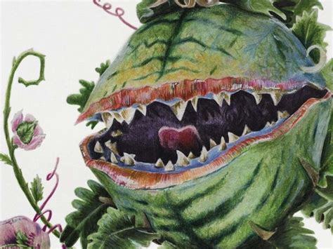 The Biology of Audrey 2