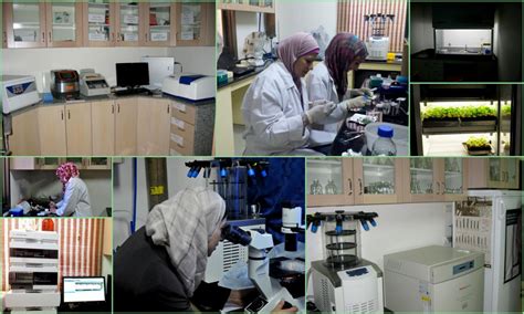 The Bioscience and Engineering Research Center (BERC):