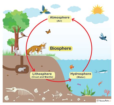 The Biosphere Reprint Kindle Editon