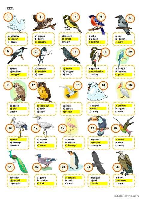 The Birds Around Us Kindle Editon
