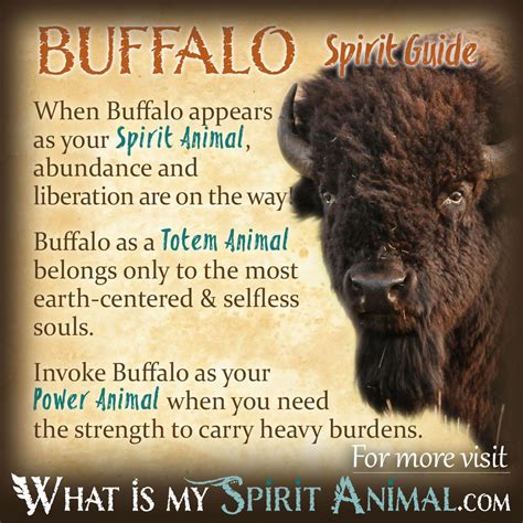 The Black Buffalo: A Symbol of Strength, Power, and Nutrition