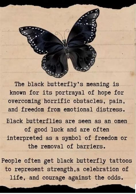 The Black Butterfly: A Symbol of Hope and Healing in a Changing World