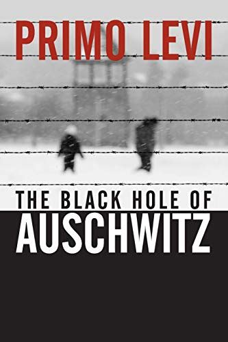 The Black Hole of Auschwitz Doc