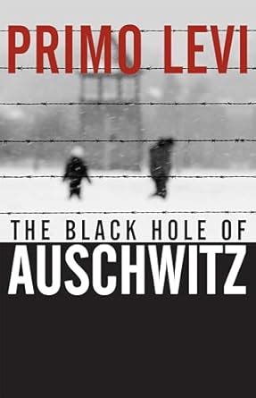 The Black Hole of Auschwitz Doc