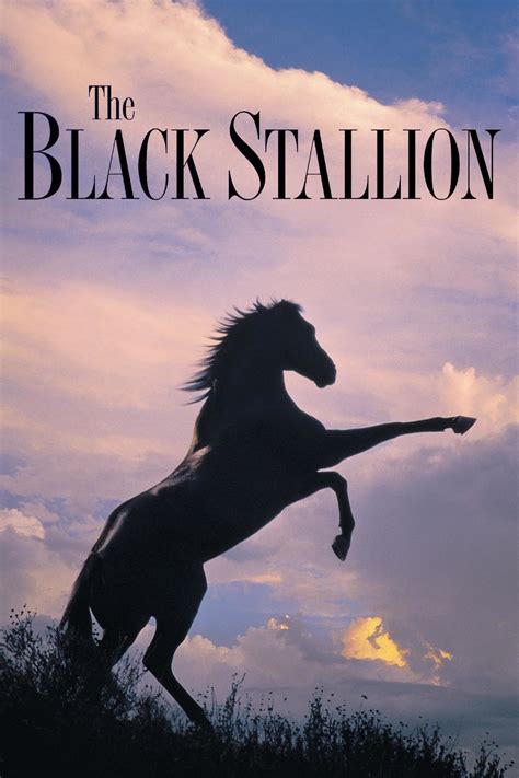 The Black Stallion PDF