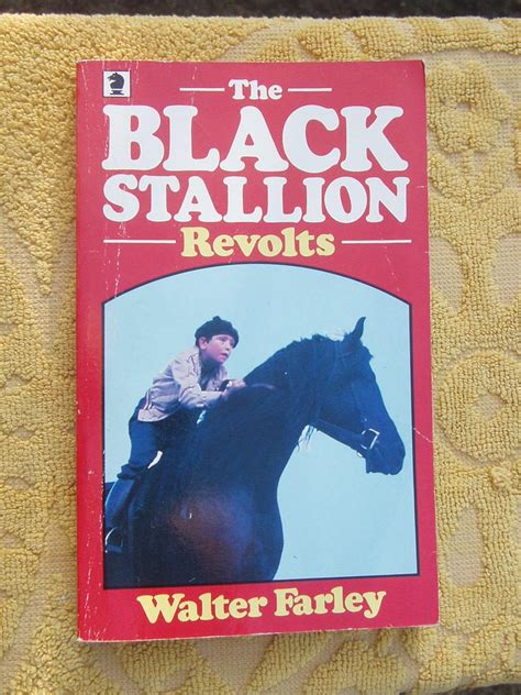 The Black Stallion Revolts Doc