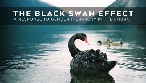The Black Swan Effect A Response to Gender Hierarchy in the Church PDF
