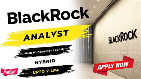 The BlackRock Analyst Role