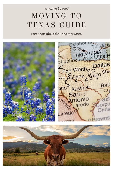 The Body of Texas: A Comprehensive Guide to Health and Wellness in the Lone Star State