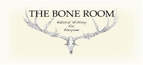 The Bone Room Kindle Editon