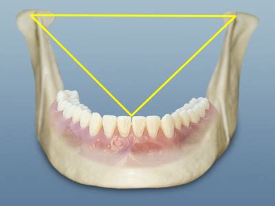 The Bonwill Triangle: A Foundation for Dental Harmony