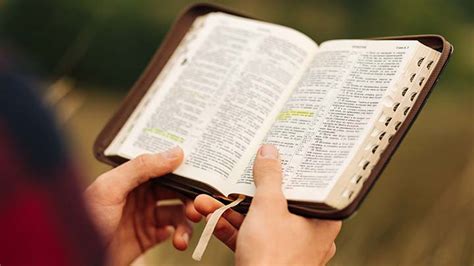 The Book of the People How to Read the Bible Reader