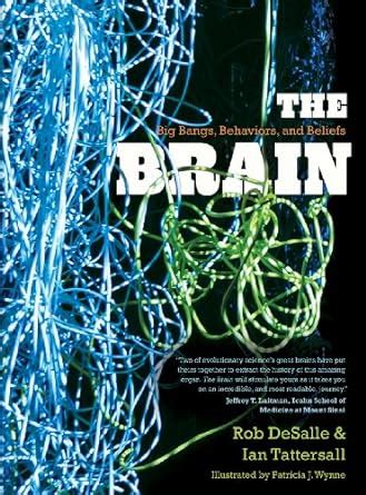 The Brain Big Bangs Behaviors and Beliefs Kindle Editon