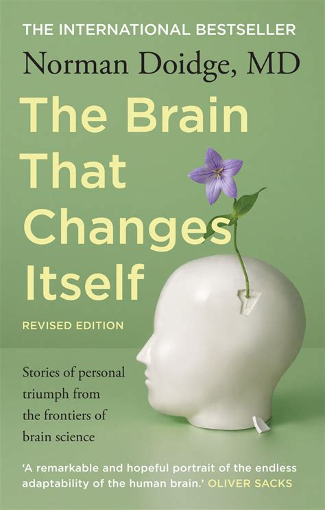 The Brain That Changes Itself Paperback By author Norman Doidge Reader