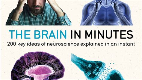 The Brain in Minutes Doc