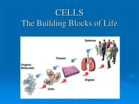 The Building Blocks of Life