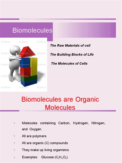 The Building Blocks of Life: Biomolecules