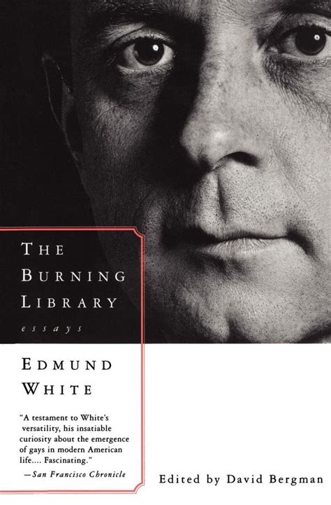 The Burning Library Essays Reader