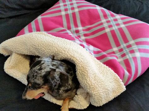 The Burrow of Snuggles: