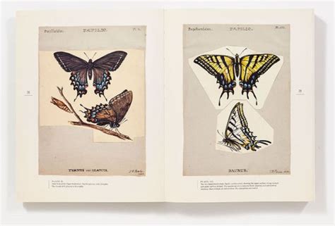 The Butterflies of North America Titian Peale s Lost Manuscript