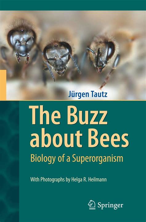 The Buzz about Bees Biology of a Superorganism Kindle Editon