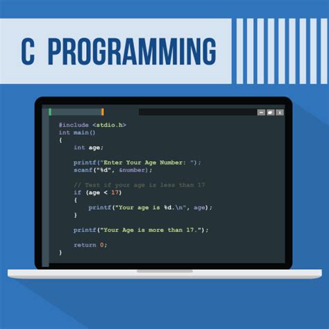 The C Programming Language Solutions Kindle Editon