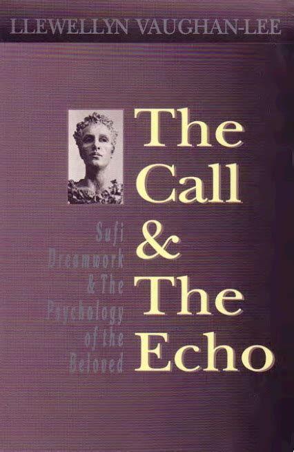 The Call and the Echo Sufi Dreamwork and the Psychology of the Beloved Kindle Editon