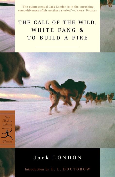 The Call of the Wild White Fang To Build a Fire and Other Stories Kindle Editon