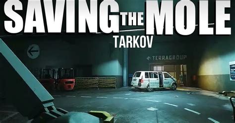 The Call to Arms: Save the Mole Tarkov