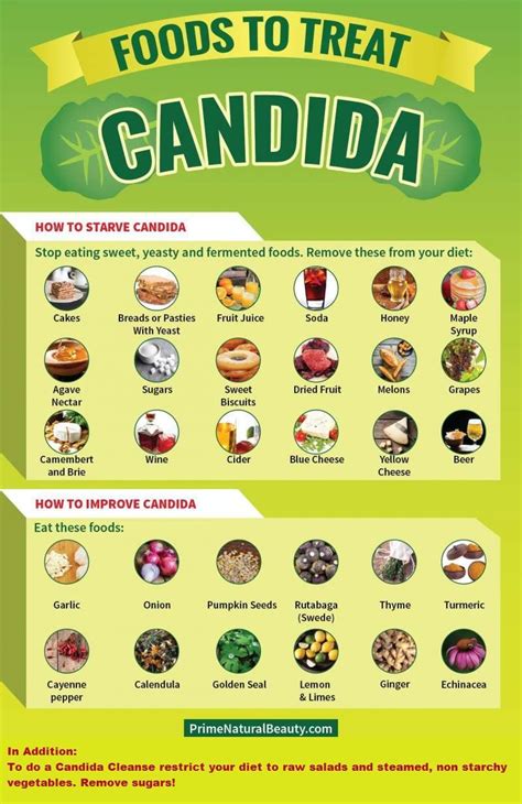 The Candida Cleanse Diet How To Cure Candida Yeast Infection in 12 Weeks with a Natural Candida Diet PDF