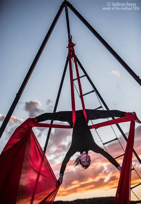 The Canopy of Enchantment: Aerial Performances