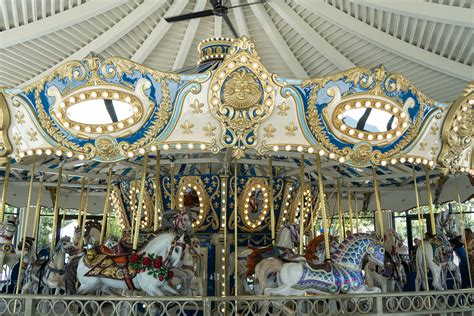 The Carousel Kindle Editon