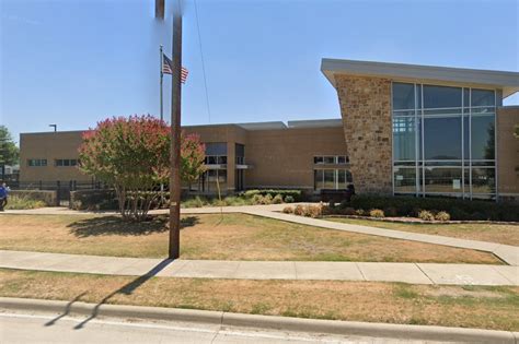 The Carrollton TX Animal Shelter: A Haven for Hope and Healing